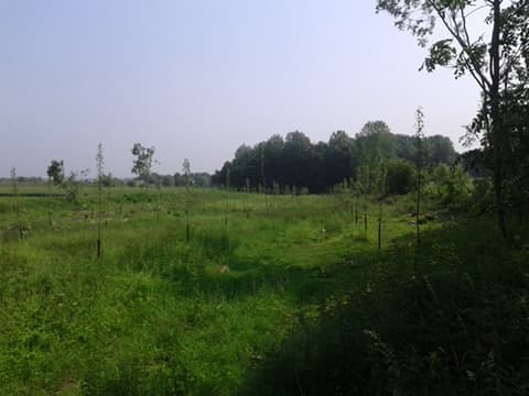 Aanplanting en terreininrichting door Greenlight BV